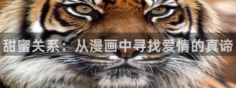 迷妹漫画官网官方进入版本下载